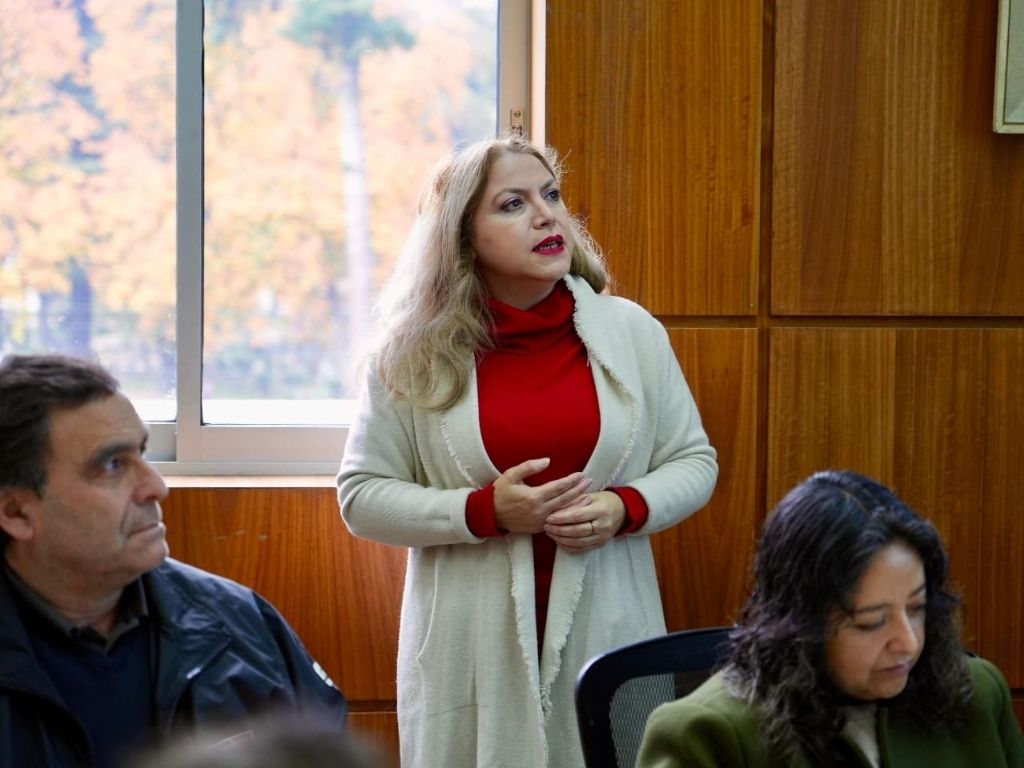 Directora Regional del Servicio Nacional de Migraciones en Ñuble, Margot Inzunza Tapia en Subcomisión de Inclusión de Mesa Intersectorial